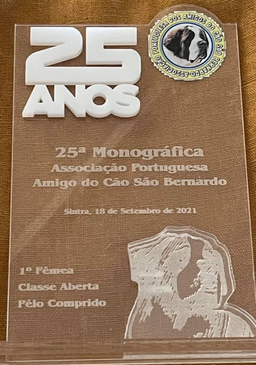 25 Monográfica Asociación Portuguesa Amigo do Cão São Bernardo (Sintra) - san bernardo