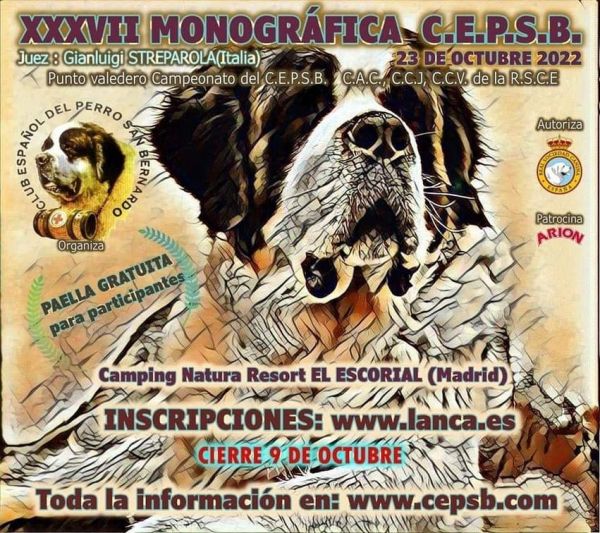 XXXVXII MONOGÁFICA CEPSB EN MADRID (EL ESCORIAL) - san bernardo